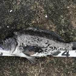 イチノ兄弟、釣果！