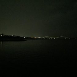 シャローメバル