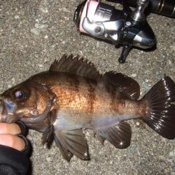 小潮強風のなかメバリング