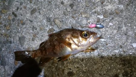 今夜はきびしい~