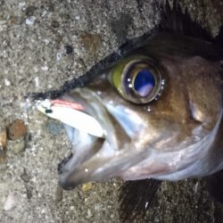 雨の中出撃！！