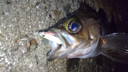 雨の中出撃！！