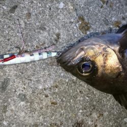 爆風X向かい風Xメバリング