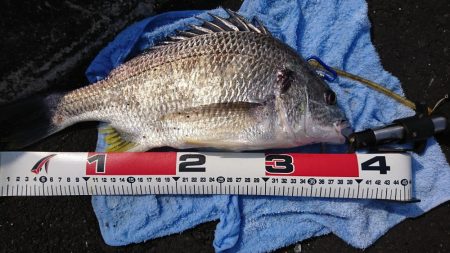 久しぶりの晴天釣り日和