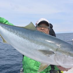 アルバトロスだ鰤好調