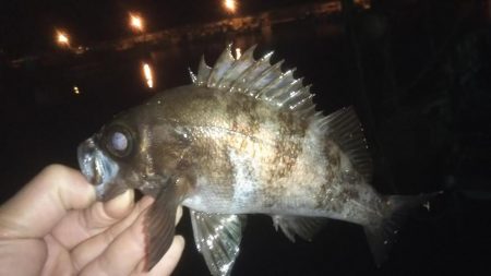 平成最後の大爆釣