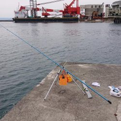 平成最後の淡路島の釣り