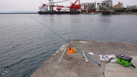 平成最後の淡路島の釣り