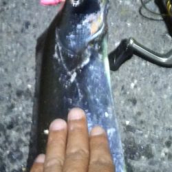 陸っぱりタチウオの季節到来