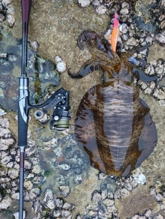 仕事終わってのプチエギング