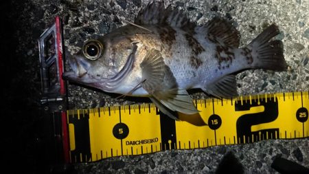 仕事終わりメバリング