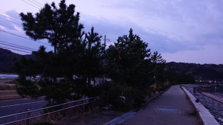 メバルダウンショット