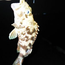 仕事帰りの癒し