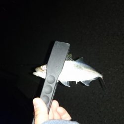 作ってみました。笑