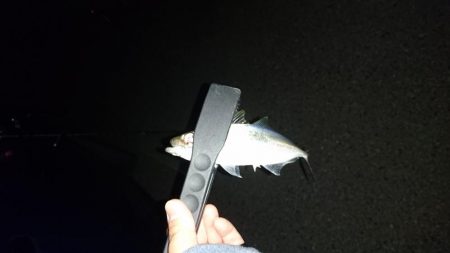 作ってみました。笑