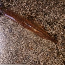 好状況ながら渋い