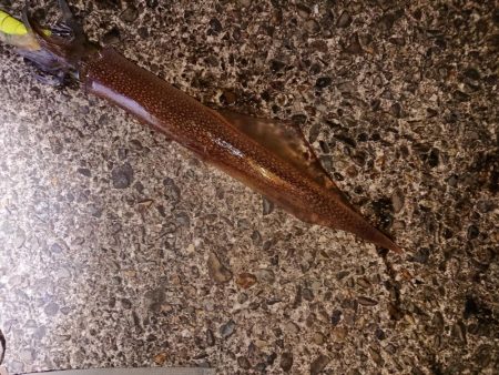 好状況ながら渋い