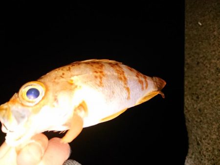 爆風の中さすがに厳しい