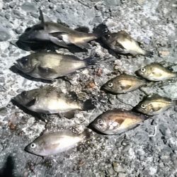 ニューロッドで釣りに行ってきました！