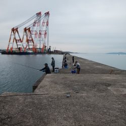 播磨新島キス情報