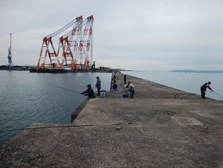 播磨新島キス情報