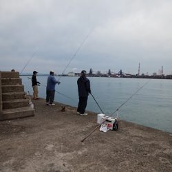 播磨新島のキス情報