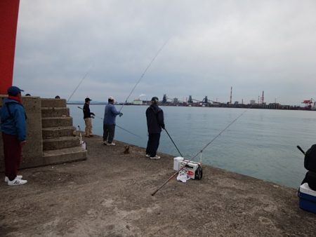 播磨新島のキス情報