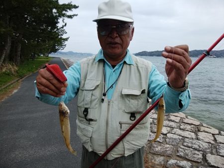 西宮津公園のキス情報