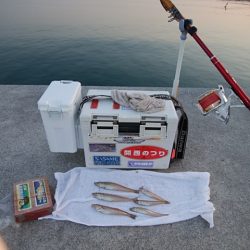 東二見白灯台のキス情報