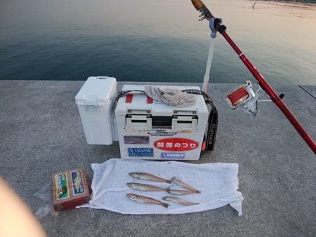 東二見白灯台のキス情報