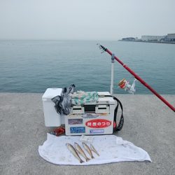 東二見白灯台波止のキス情報