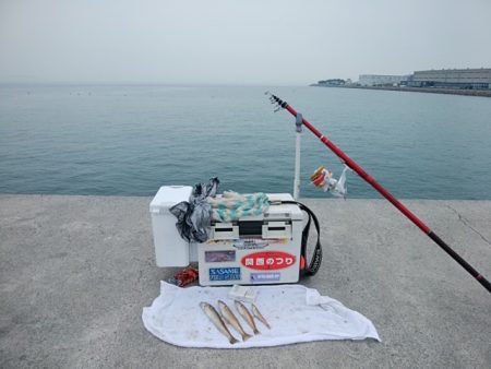 東二見白灯台波止のキス情報