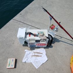 東二見白灯台のキス情報