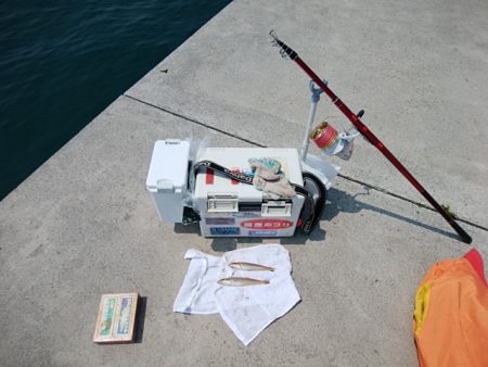 東二見白灯台のキス情報