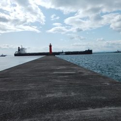 播磨新島のキス情報