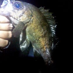 満潮からの引き潮で