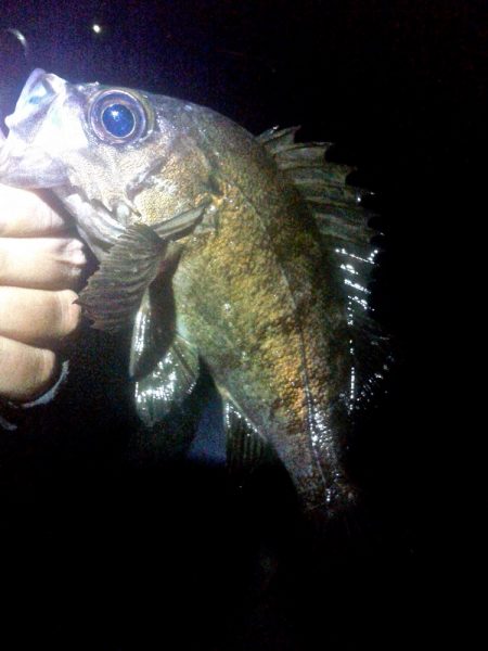 満潮からの引き潮で