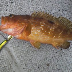 ネチネチネギング