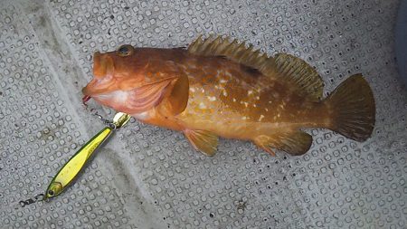 ネチネチネギング