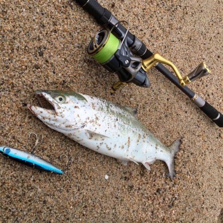 海サクラマスヒット！