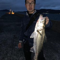 モンスターシーバス