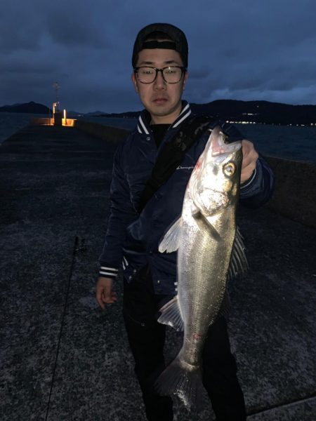 モンスターシーバス