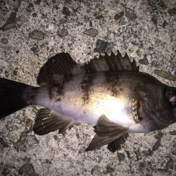 フロートメバリング