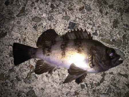 フロートメバリング