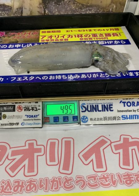 春烏賊いはほど遠い