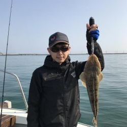 ボートシーバス