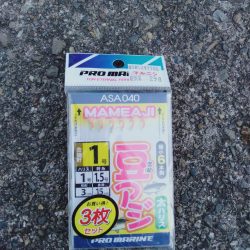 いわしフィーバー