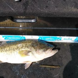 春休みちょい爆