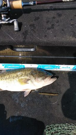 春休みちょい爆