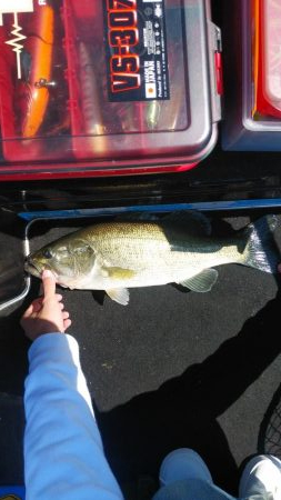 引き続きちょい爆